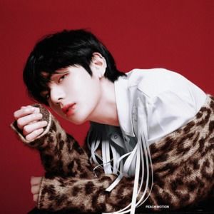 Meet your Posher, Hyeonjin